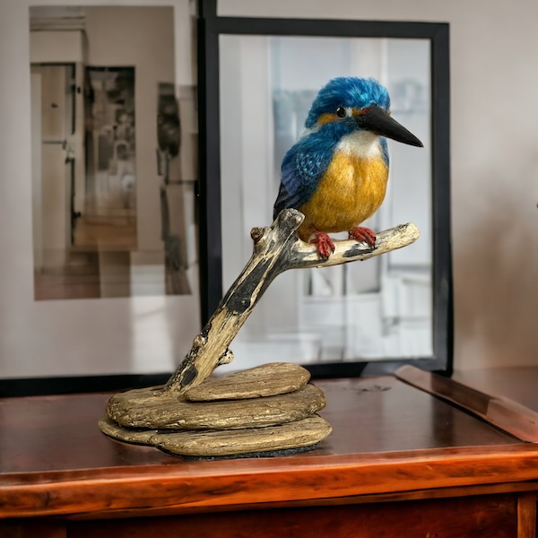 Kingfisher in Library